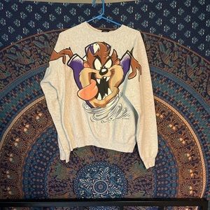 warner bros sweatshirt